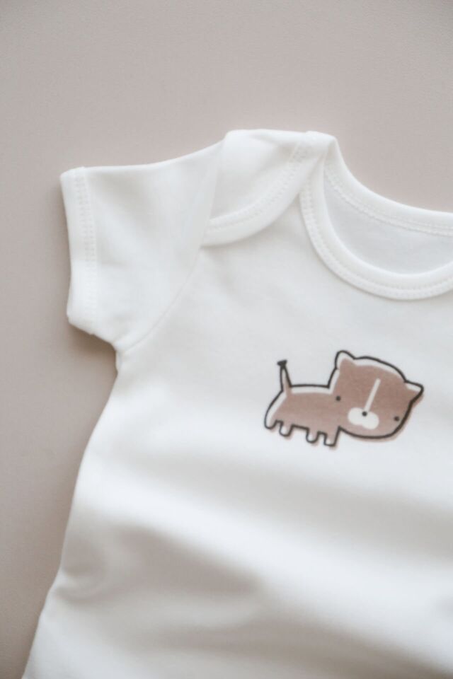 3'lü Hayvan Desenli Çıtçıtlı Zıbın Body Seti