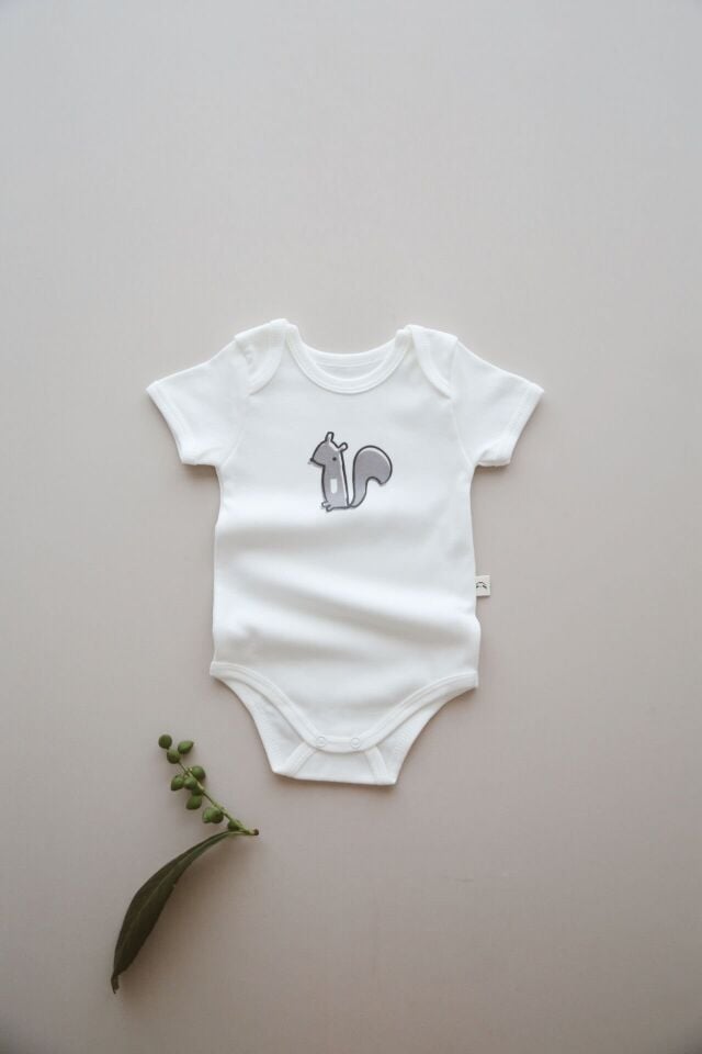 3'lü Hayvan Desenli Çıtçıtlı Zıbın Body Seti
