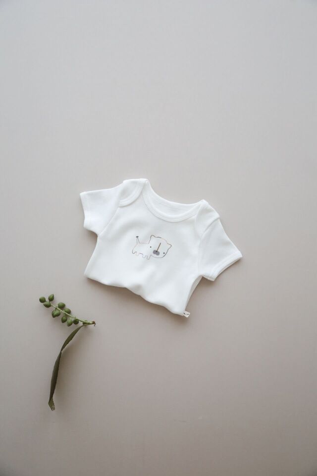 3'lü Çizgi Hayvan Desenli Çıtçıtlı Zıbın Body Seti