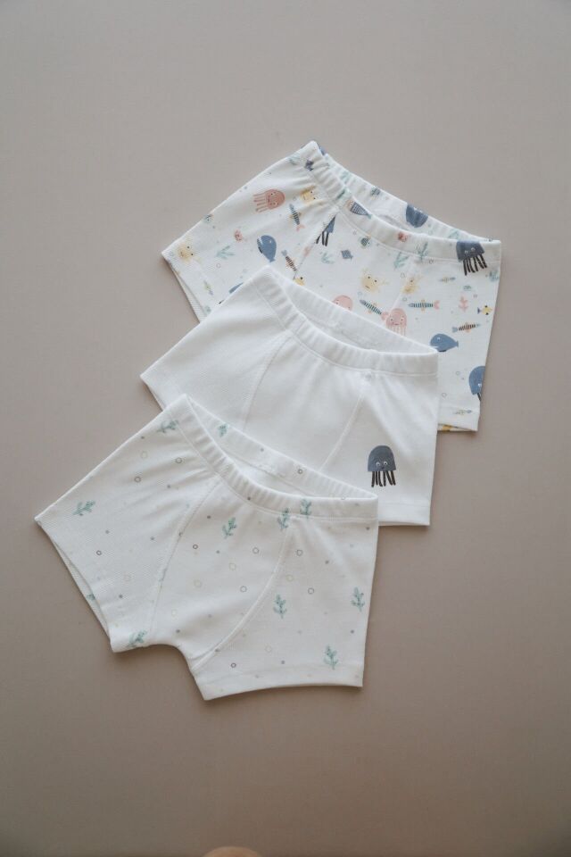 Pamuklu Erkek Çocuk Boxer 3'lü Set