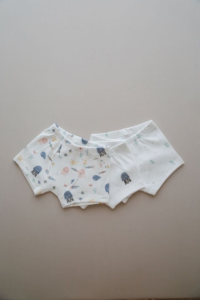 Pamuklu Erkek Çocuk Boxer 3'lü Set