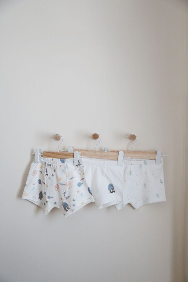 Pamuklu Erkek Çocuk Boxer 3'lü Set
