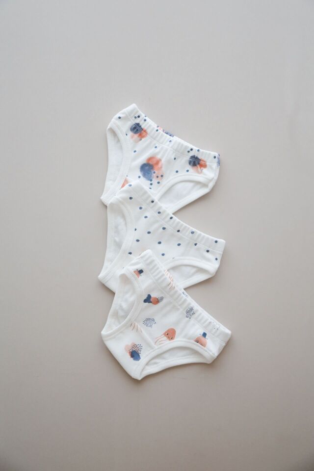 Pamuklu Kız Çocuk Slip Külot 3'lü Set Desenli