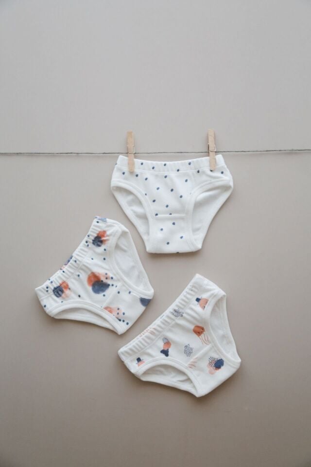 Pamuklu Kız Çocuk Slip Külot 3'lü Set Desenli