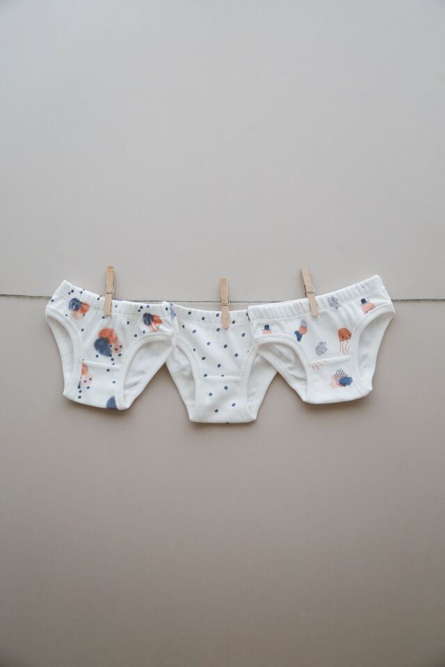 Pamuklu Kız Çocuk Slip Külot 3'lü Set Desenli